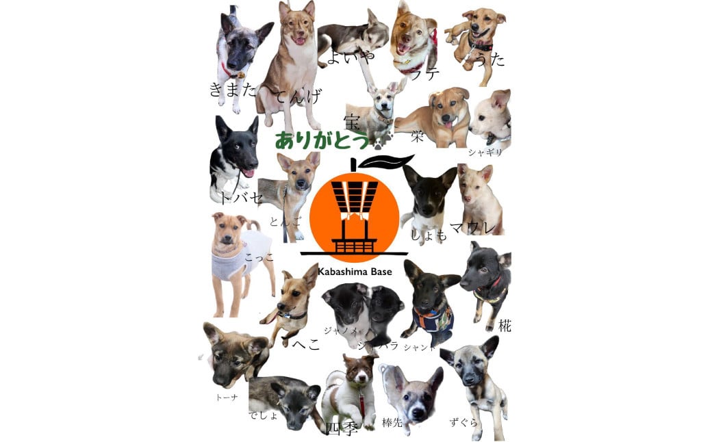 長崎近海産カジキマグロ 冷蔵 約1kg ／ 魚 海産物 魚介 鮮魚 海鮮 カジキ まぐろ 鮪 刺身 大将農園 長崎県 長崎市 【2025年9月下旬～12月下旬迄発送予定】
