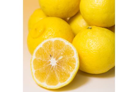 B51-12 はるか(約4.5㎏)