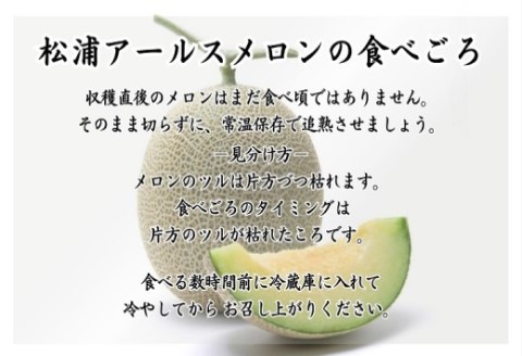 松浦アールスメロン「爽潤果(そうじゅんか)」2玉( メロン アールスメロン ブランド 人気 甘い 美味しい おいしい ギフト 期間限定 糖度14度以上 濃厚 芳醇 松浦 松浦市 長崎 長崎県 )【B5