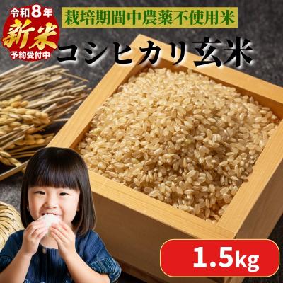 ふるさと納税 小松島市 【2026年9月順次発送】 栽培期間中農薬不使用 コシヒカリ 玄米 1.5kg 米 化学肥料不使用