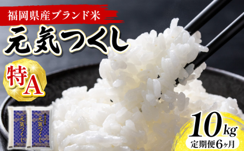 【6ヶ月定期便】令和8年産 福岡県産米 元気つくし 10kg 精米 ※北海道・沖縄・離島は配送不可 CY023sub6