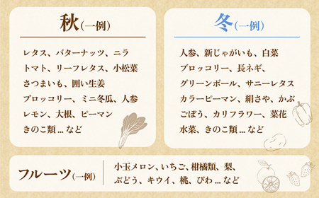 【6回定期便】2ヵ月に1回　「旬の野菜・フルーツ」 詰め合わせ セット（13品-15品）/ 野菜 定期便 やさい 定期便 野菜セット やさいセット 春野菜 夏野菜 秋野菜 冬野菜 旬新鮮 / 南島原市