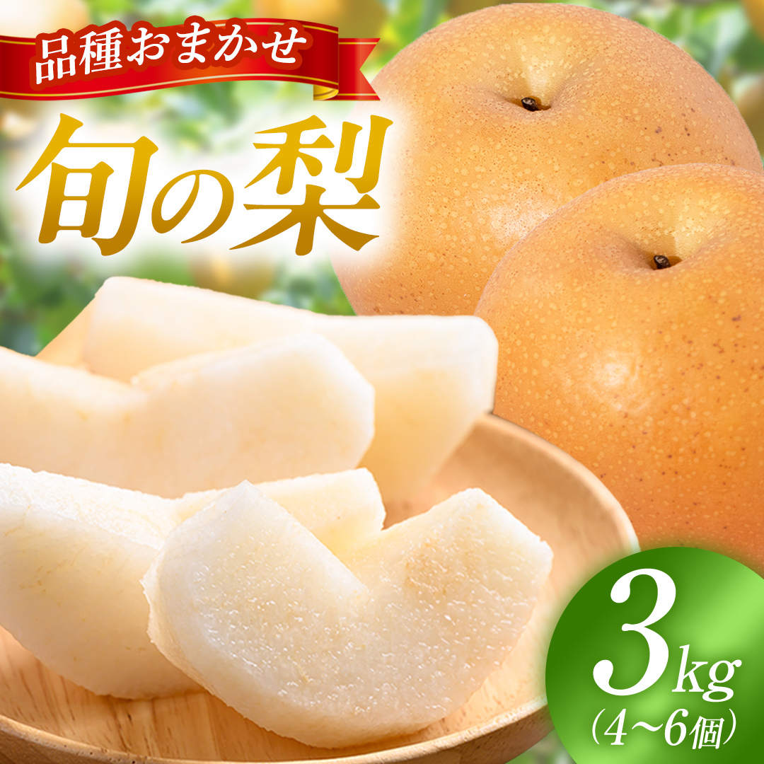 ≪農家直送≫ 梨 品種 おまかせ 約3kg（ 4～6個 ）（BB008）