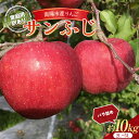 【ふるさと納税】 【令和6年産先行予約】 〈訳あり品 家庭用〉 りんご 「サンふじ」 約10kg (24～36玉) バラ詰め 《令和6年11月中旬～12月上旬発送》 『マルタニ農園』 リンゴ 山形県 南陽市 [1916]