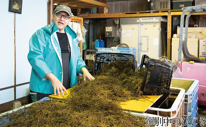 生炊きだからおいしい 瀬戸内 ひじき 28g×12袋 エビス水産【岡山 瀬戸内海 鉄釜炊 生炊 天然 乾燥】