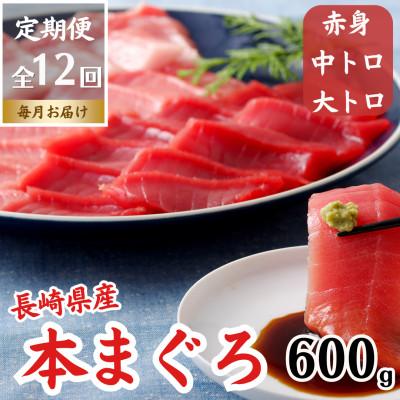 ふるさと納税 佐世保市 【毎月定期便】長崎県産本マグロ「赤身・中トロ・大トロ」三種セット(計600g以上)全12回