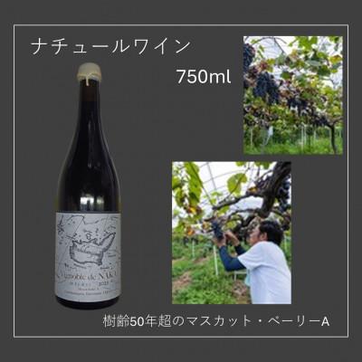 ふるさと納税 大崎上島町 マスカット・ベーリーAのナチュラルワインVignoble de NAKA rouge MBA