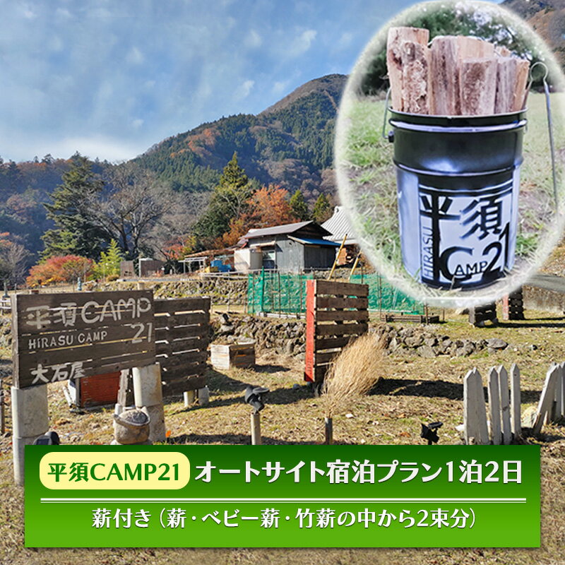 【ふるさと納税】平須CAMP21　オートサイト宿泊プラン1泊2日　薪付 山梨県 キャンプ キャンプ場 利用券 宿泊券 アウトドア