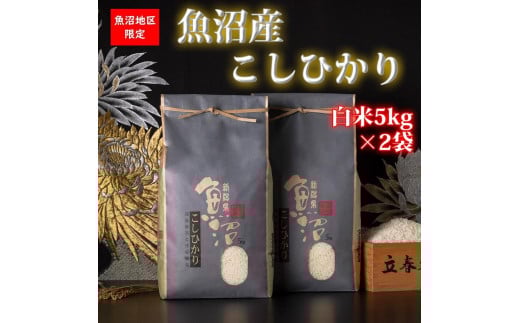 【令和7年産 新米予約】魚沼産コシヒカリ【白米10kg】【令和7年10月中旬以降発送】【米 お米 こしひかり 南魚沼 米 白米 こめ 新潟 米】