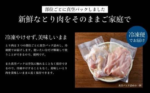 010VS02N.勢賀の郷 播州百日鶏セット（計1.5kg）ブランド鶏 むね肉 手羽先 手羽元 大量セット