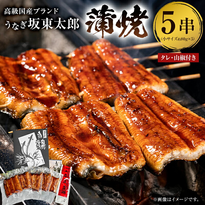 【ふるさと納税】 国産 うなぎ 「坂東太郎 使用」 蒲焼 5串 小サイズ 80g前後×5パック のし対応可能 千葉県 南房総市 ブランドうなぎ 備長炭 脂っぽくない さっぱり 職人 真空パック 冷凍
