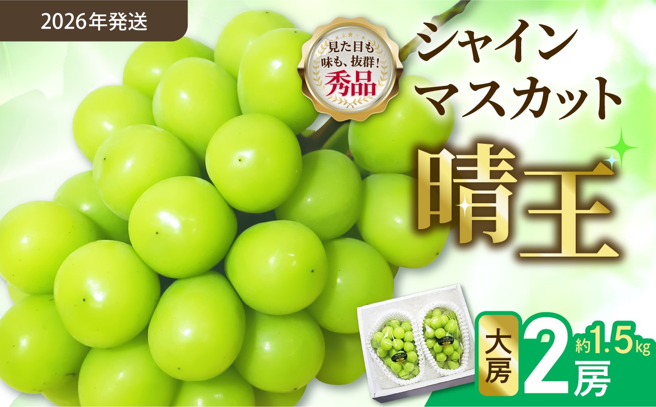 
                  【令和８年発送分】岡山県産 シャインマスカット晴王【秀品】 大房２房（令和8年9月から10月頃発送）【 岡山県産 シャインマスカット 秀品 晴王 大房 晴れの国おかやま】
                