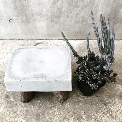 ふるさと納税 河内長野市 コンクリートスツール四角 高さ21cm  サスティナブルでおしゃれなオブジェです。 |  | 01