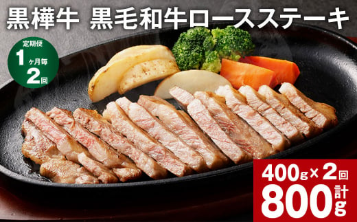 ステーキ 【1ヶ月毎2回定期便】計約800g（約400g×2回）  黒毛和牛 ロースステーキ 牛肉  BBQ ロース アウトドア キャンプ 和牛 黒毛和牛 冷凍 熊本県産 九州産 国産