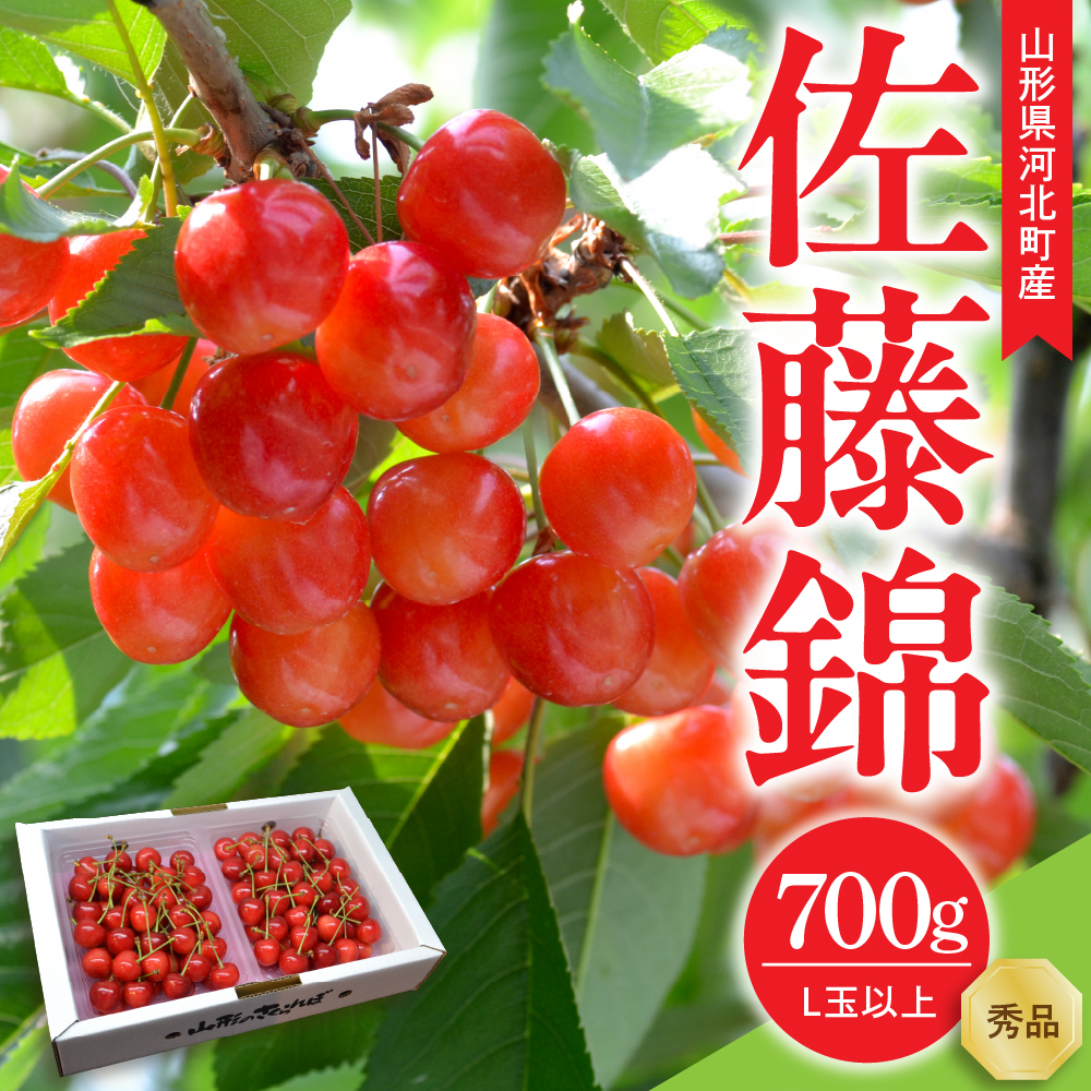 【令和9年産】さくらんぼ 佐藤錦 700g(350g×2パック) L玉以上 ギフト箱入 秀品 山形県産【山形eLab】フルーツ 人気 贈答 ふるさと納税 河北町 2027年産 ka074-052 70