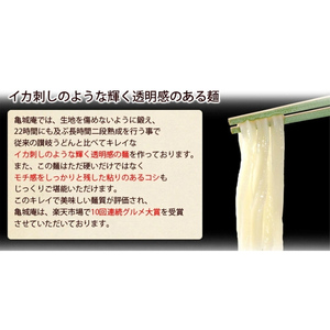 亀城庵 半生讃岐うどん並切麺120g×10袋(10食入・つゆ付セット)さぬきうどん 家庭用 ざる ぶっかけ 釜揚げ 釜玉 麺 麺類 本格的 ランチ お昼ごはん 夕飯 夜ごはん  FAH-0047