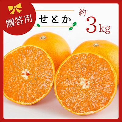 コウ果樹園の「柑橘の大トロ　せとか3kg」【C33-1】【1269378】