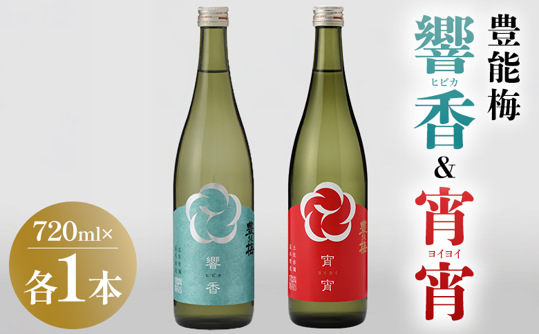 日本酒 響香 宵宵 720ml 各1本 - セット 詰め合わせ お酒 日本酒 地酒 純米酒 純米大吟醸 純米吟醸 高知県産 食中酒 晩酌 アルコール リニューアル 飲み物 飲料 お祝い 贈り物 高木酒造 高知県 香南市 常温 冷蔵 gs-0210