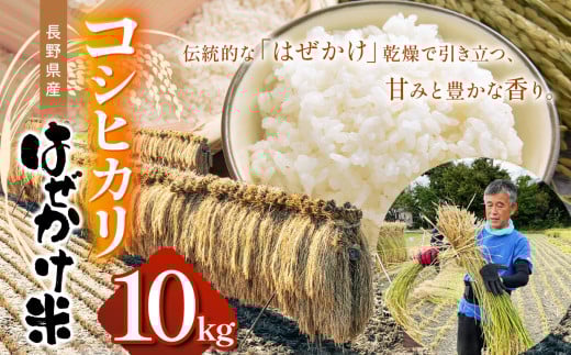 長野県産コシヒカリ（ はぜかけ米 ）10㎏  | ふるさと納税 こしひかり コシヒカリ 米 長野県 松本市 信州米 こめ 白米 おこめ ごはん