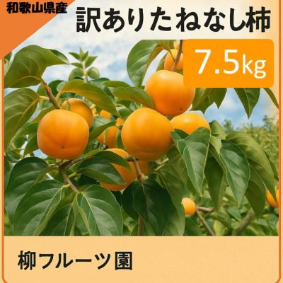 ふるさと納税 橋本市 柿【先行受付】柳フルーツ園(訳あり)たねなし柿 約7.5kg