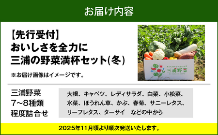 おいしさを全力に 三浦 の 野菜満杯セット( 冬 ) M109-002-01 野菜 旬 詰め合わせ ミネラル 大根 キャベツ レディサラダ 白菜 小松菜 水菜 ほうれん草 カブ 春菊 サニーレタス リ