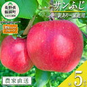 【ふるさと納税】 【すぐ発送！！】りんご サンふじ 訳あり 5kg 増田さんちのりんご 沖縄県への配送不可 令和6年度収穫分 長野県 飯綱町 〔 信州 果物 フルーツ リンゴ 林檎 長野 予約 農家直送 13000円 〕発送時期：2024年11月下旬～2025年2月上旬