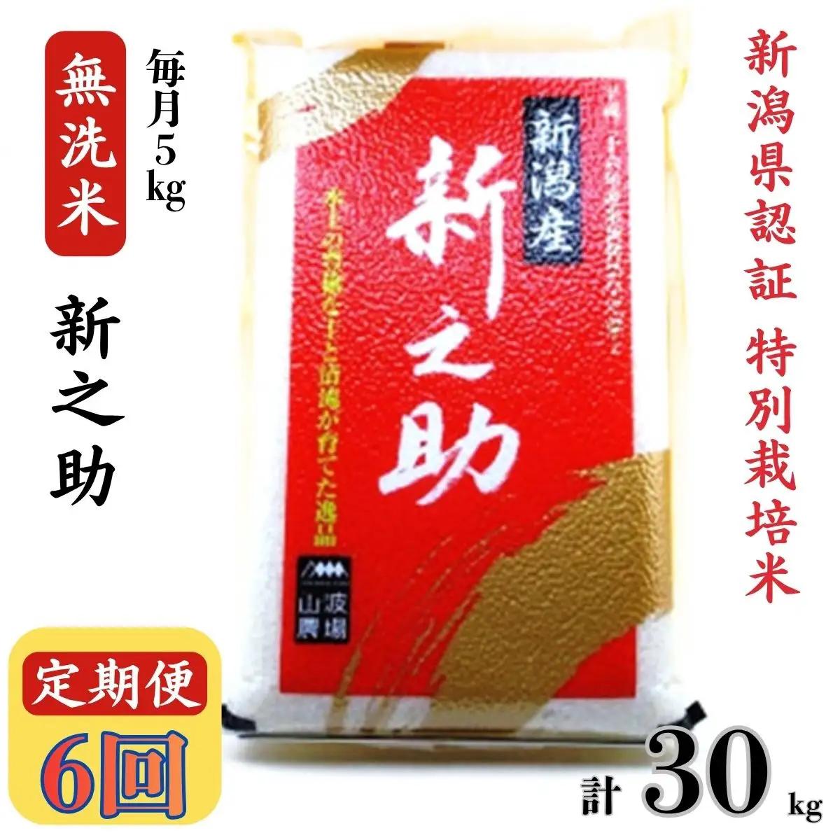【令和8年産新米・6ヶ月定期便】真空パック 特別栽培米 新之助 無洗米 5kg×6回（計 30kg） 山波農場 お米 新潟県産 [Y0054]