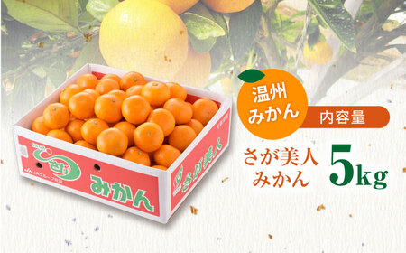 【厳しい基準をクリアしたみかん】 佐賀みかん （さが美人）5kg 【JAさが 杵島支所】[HAM086] みかん 佐賀 温州みかん さがみかん ミカン 蜜柑
