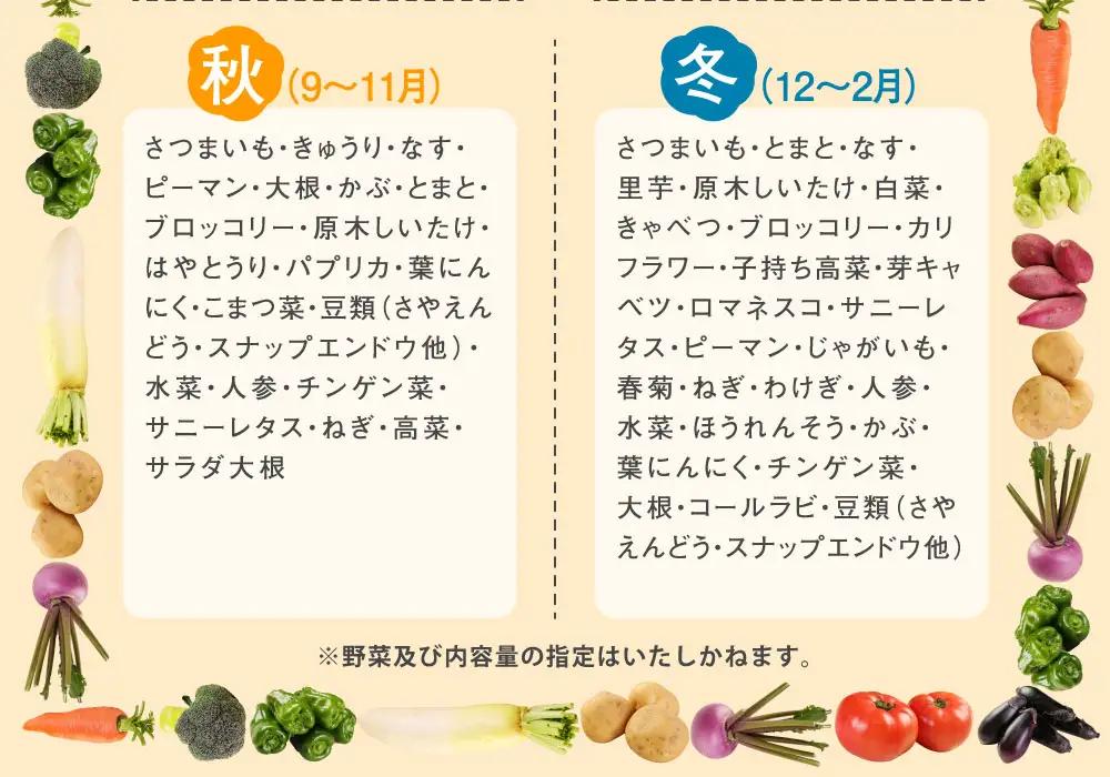 【4回お届け定期便】春夏秋冬 野菜 定期便 rk015