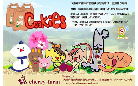 No.397 かなんブランド　米粉cookies　ふるさとセットA　1箱