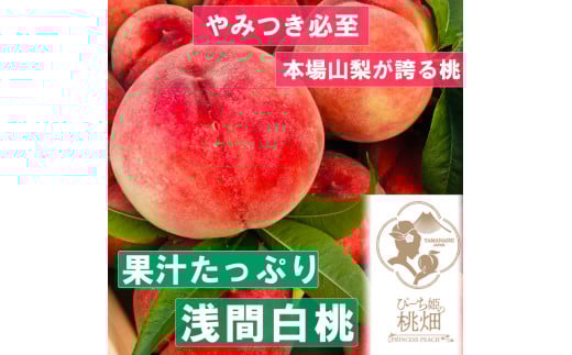 【果汁たっぷり浅間白桃ブランド】当園ダントツ人気No.1の品種 約1kg【2025年発送】（PMK）B17-108 【桃 もも モモ 令和7年発送 期間限定 山梨県産 甲州市 フルーツ 果物】