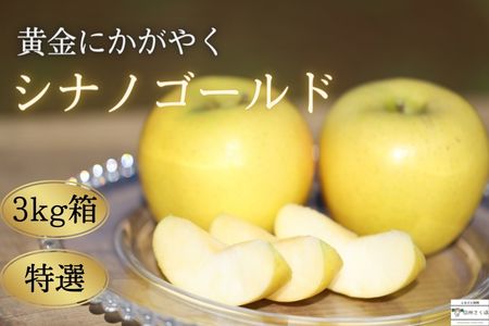 黄金に輝く　シナノゴールド　３キロ　贈答用【数量限定】［SK-102］