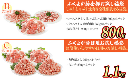 【頒布会】福袋 豚肉 しゃぶしゃぶ 焼肉 切り落とし ステーキ ふくよか豚 定期便 豚肉ざんまいセット ロース 肩ロース バラ ミンチ 肩ロース 小分け ブタ肉 ぶた肉 冷凍 福岡県 福岡 九州 グル