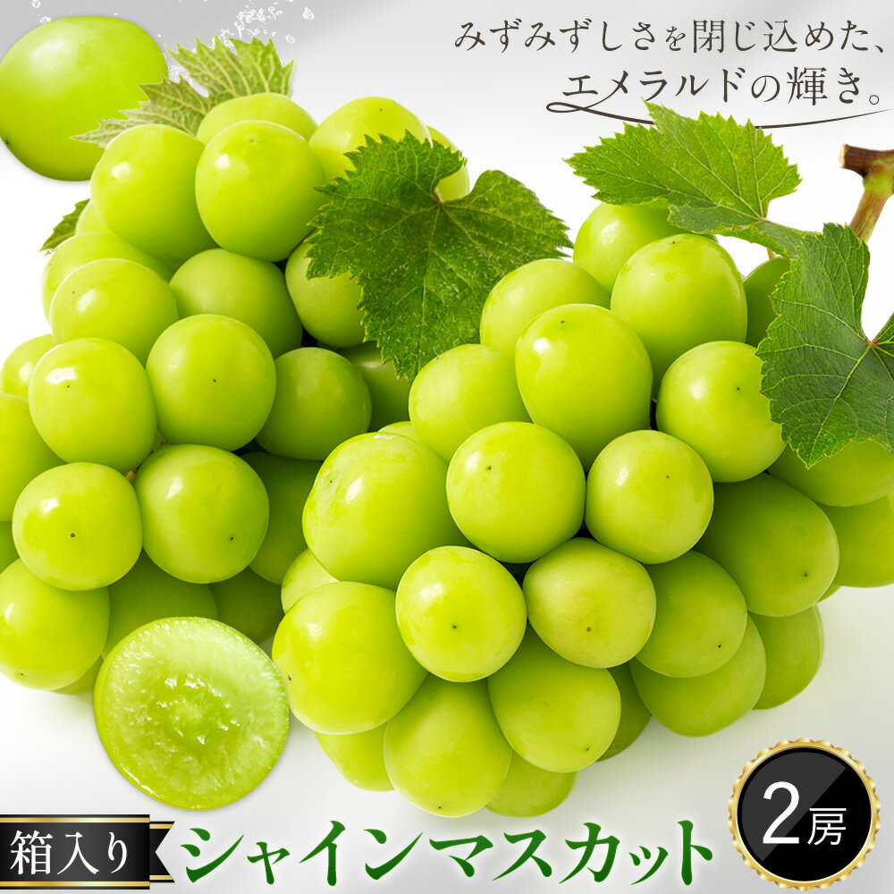 【ふるさと納税】シャインマスカット ぶどう マスカット 箱入り 2房 1房500g～600g 中嶋ぶどう園《9月上旬-10月下旬頃出荷》岡山県 矢掛町 送料無料 フルーツ 果物 お取り寄せフルーツ