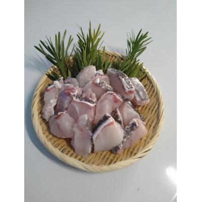 ふるさと納税 対馬市 【対馬産】天然マハタ(2〜3人前)500g