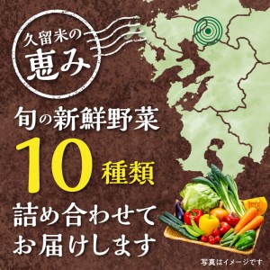福岡県久留米市産 新鮮野菜セット_福岡県 久留米市産 新鮮野菜 セット 10品目 約10kg 旬の野菜 詰め合わせ 新鮮 季節 野菜 水菜 小松菜 ほうれん草 アスパラ キャベツ オクラ レイシ トマ