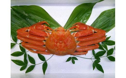 カニ 松葉ガニ ボイル （ 1枚 ）｜国産 ズワイガニ 松葉ガニ カニ 蟹 かに ボイル カニ鍋 かに鍋 鍋 かにしゃぶ かにみそ 期間限定 送料無料 鳥取県 三朝町