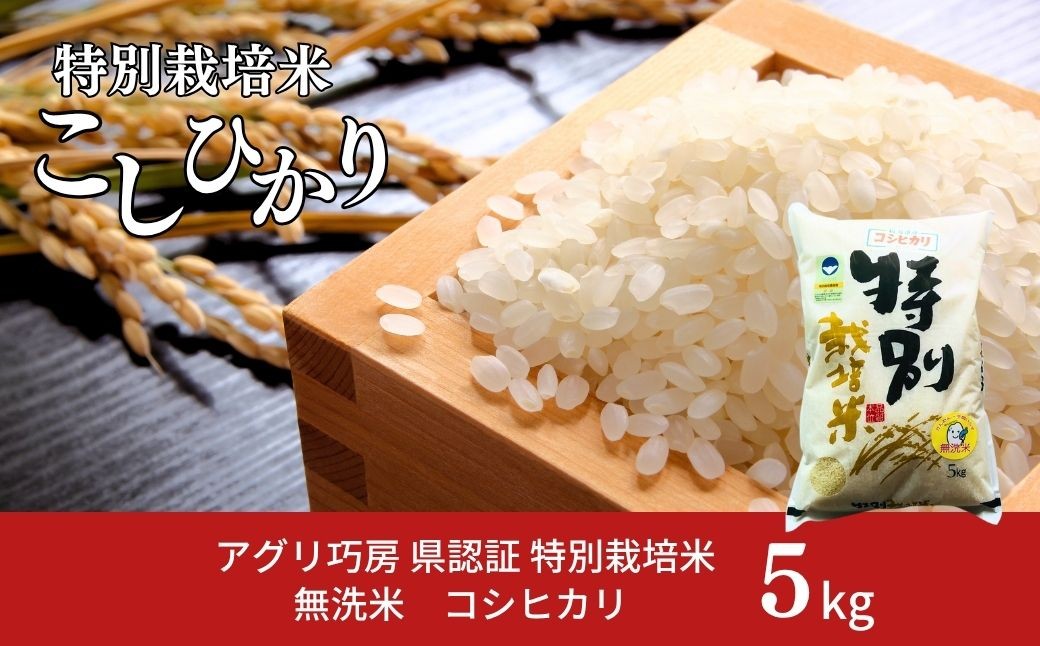 
                  県認証 特別栽培米 コシヒカリ5kg 無洗米 新潟県認証 令和8年産 新潟県三条市産 こしひかり 【011S193】
                