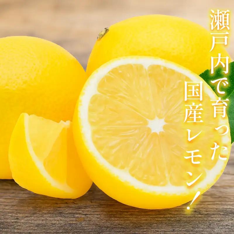 【先行予約】宗方印 レモン（家庭用）約1.5kg