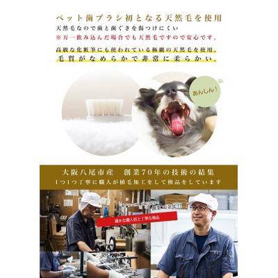 ふるさと納税 八尾市 <柔らかい天然毛歯ブラシ>ミガケンデ 3本セット(A159) |  | 03