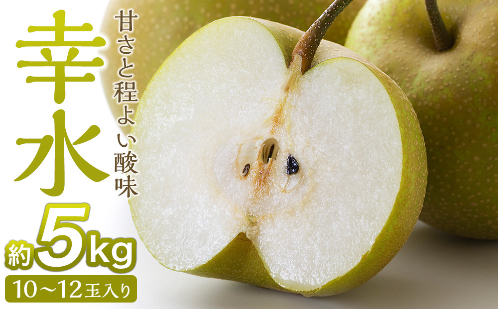 【2026年発送／先行予約】梨「幸水」約5kg（10～12玉入）【松崎果樹園】