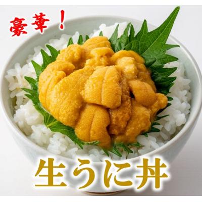 ふるさと納税 普代村 【期間限定 寄付金額改定】【漁師厳選】 普代産 生うに60g 瓶入り ミョウバン不使用 塩水 |  | 02