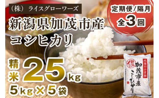 【令和8年産新米先行予約】【定期便3回隔月お届け】新潟県加茂市産コシヒカリ 精米25kg（5kg×5）《10月上旬～順次出荷》 新潟県産コシヒカリ 新潟産コシヒカリ 新潟コシヒカリ 新潟県産こしひかり 新潟産こしひかり 新潟こしひかり コシヒカリ こしひかり お米 白米 米 定期便 （株）ライスグローワーズ