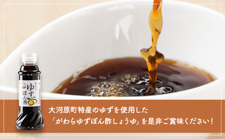 大河原町観光物産協会 特産品Cセット ドレッシング 調味料 ポン酢 柚子 梅 シロップ 果実 詰め合わせ 