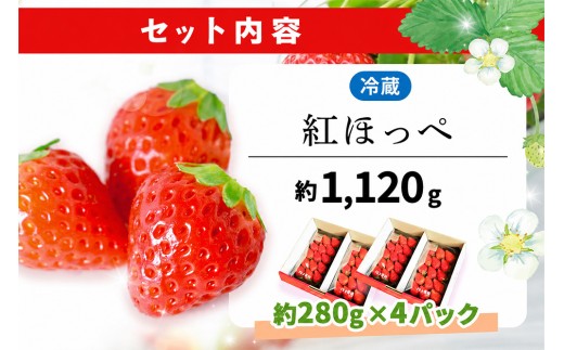 【2027年1月発送】【先行予約】【農場直送！】紅ほっぺ(約280g×4P)【ふるさと納税 佐賀県 基山町産 げんき農場 苺 ブランド苺 イチゴ いちご フルーツ 果物 くだもの 美味しい おいしい 