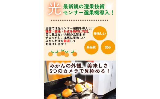 有田 みかん 訳あり 2kg 光センサー 選別 / 温州みかん 有田みかん 甘い 家庭用 和歌山 柑橘 ※11月順次発送 ※沖縄・離島への配送不可【nuk004-c-2-novA】