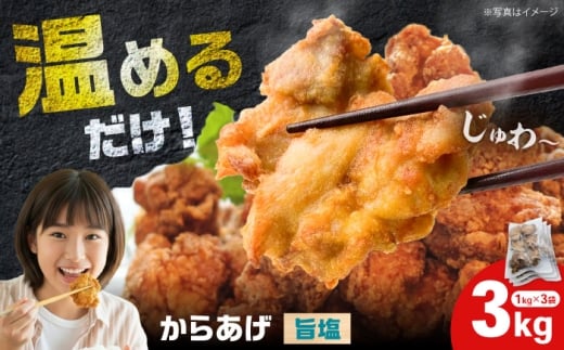 【12月23日(火)ご入金確認分まで年内発送】からあげ 旨塩味　3kg（単品）【から太郎】 [BDBC004-2]