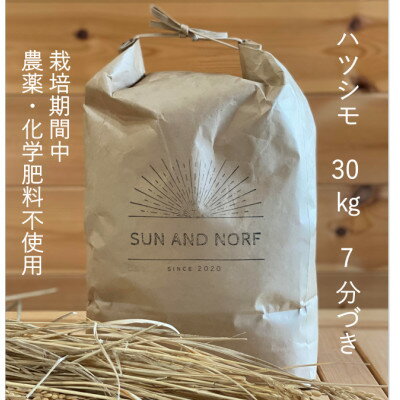 【ふるさと納税】【令和7年産】初霜(源種)　7分づき30kg　(栽培期間中農薬・化学肥料不使用)【1721474】