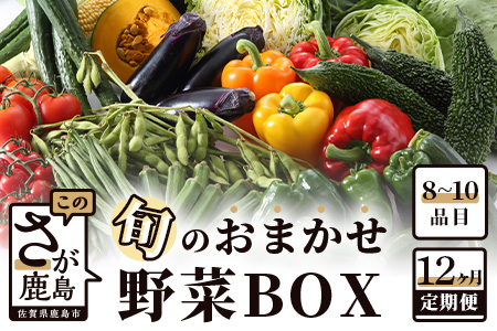  【12ヶ月定期便】旬のおまかせ 野菜 BOX 野菜定期便 旬の野菜 詰め合わせ 野菜 新鮮 野菜 8～11品目 H-13