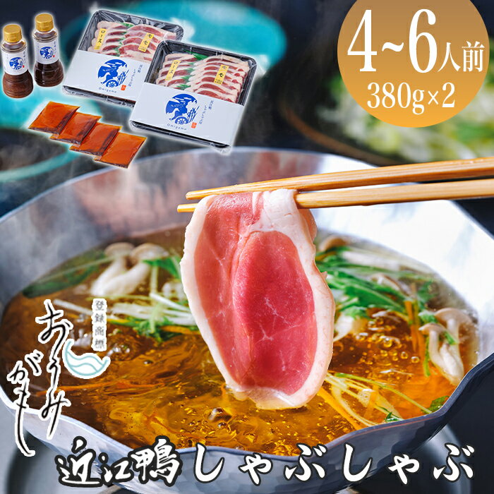 【ふるさと納税】【A-245】グッドワン　近江鴨 しゃぶしゃぶ用（4～6人前）【高島屋選定品】